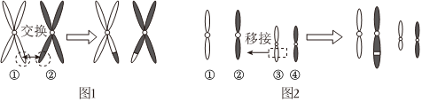 德优题库