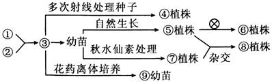 德优题库