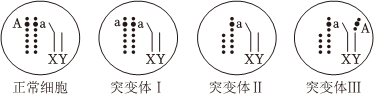 德优题库