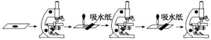 德优题库