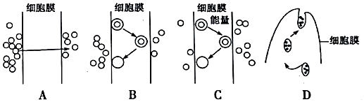 德优题库