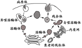 德优题库