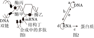 德优题库