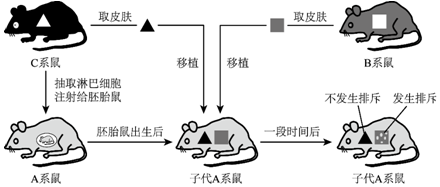 德优题库