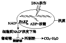德优题库