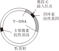 德优题库