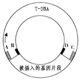 德优题库