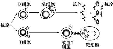 德优题库