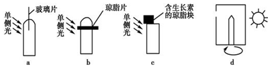 德优题库
