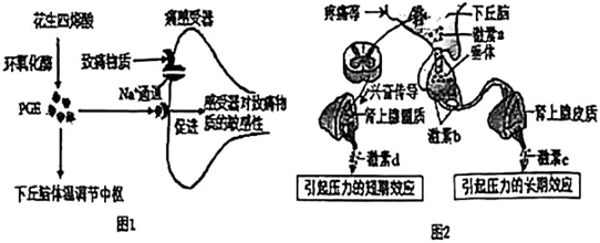 德优题库