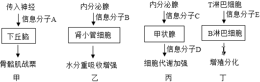 德优题库