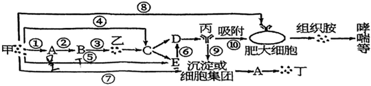 德优题库