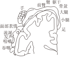德优题库