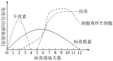 德优题库