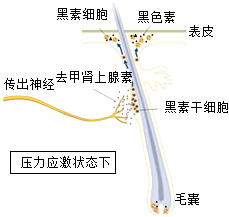 德优题库