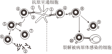 德优题库