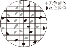 德优题库