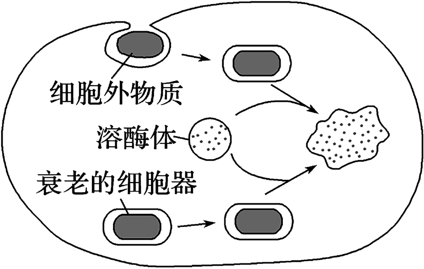德优题库