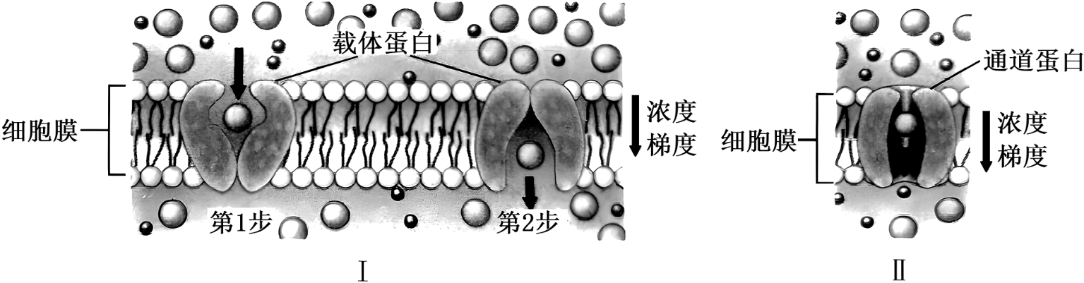 德优题库