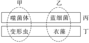 德优题库