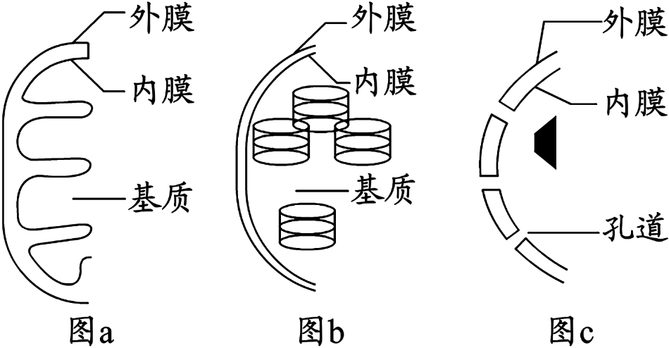 德优题库