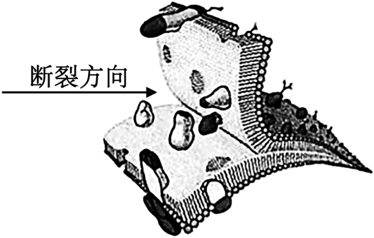 德优题库