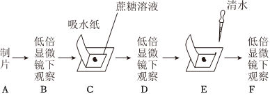 德优题库