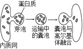 德优题库