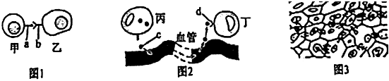 德优题库
