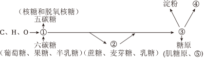 德优题库