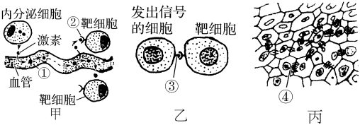 德优题库