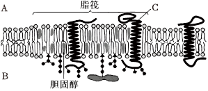 德优题库