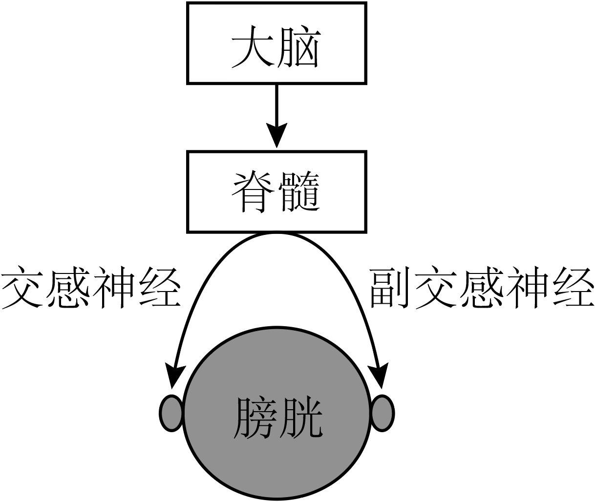 德优题库
