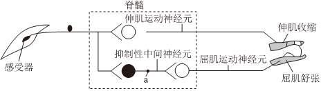 德优题库