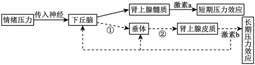 德优题库