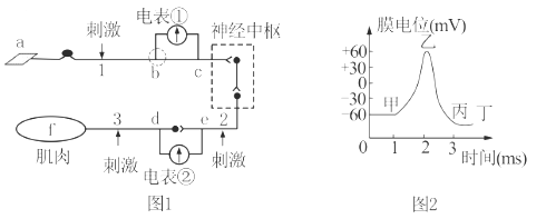 德优题库