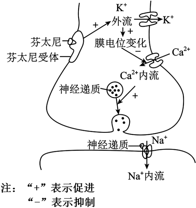 德优题库