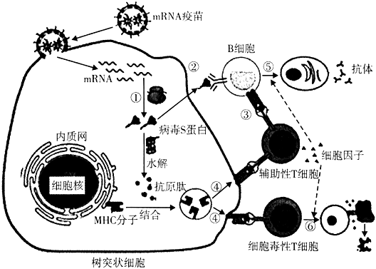 德优题库