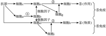 德优题库