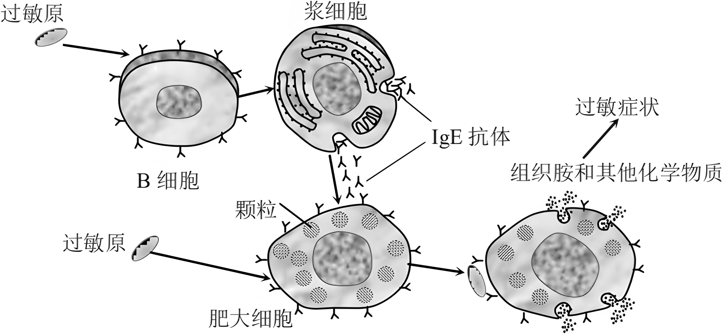 德优题库