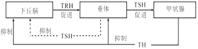 德优题库