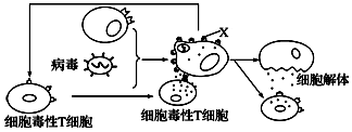 德优题库