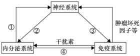 德优题库