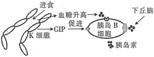 德优题库