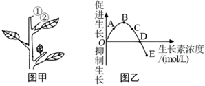 德优题库