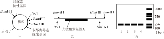 德优题库