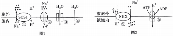 德优题库