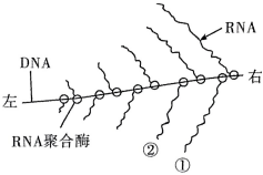 德优题库