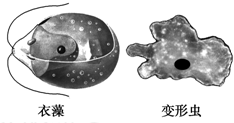 德优题库