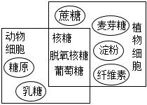 德优题库